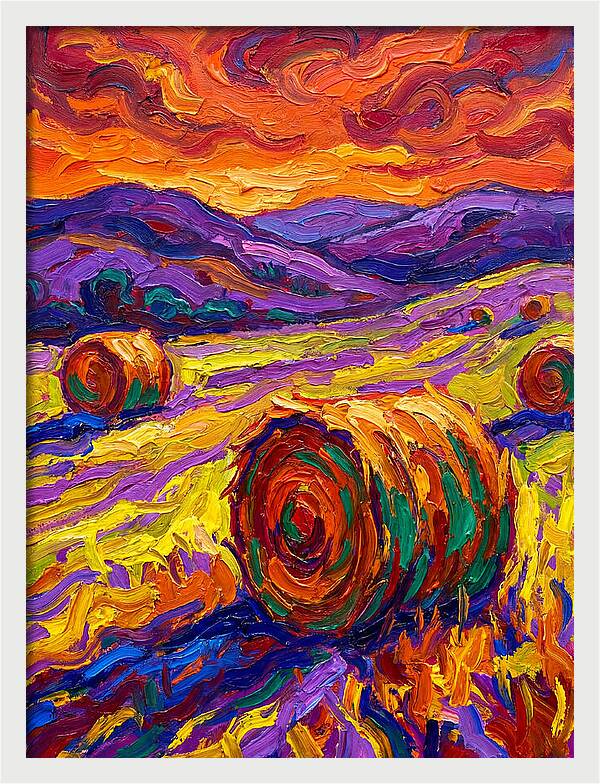 Vibrant Hay Field Landscape