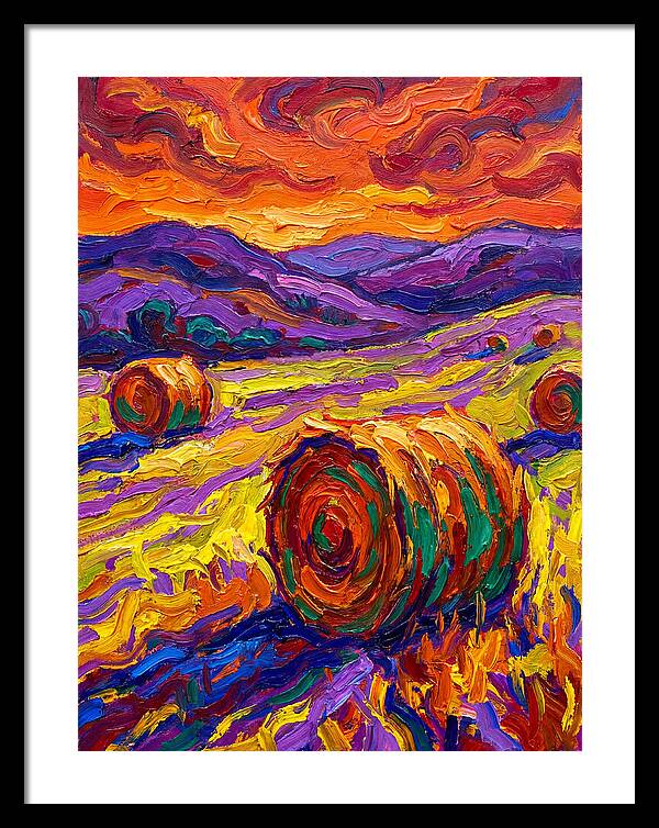 Vibrant Hay Field Landscape