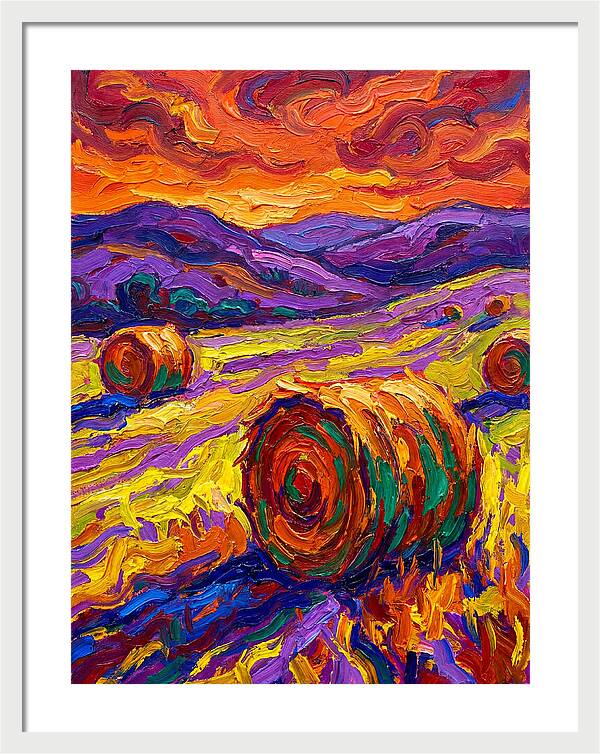 Vibrant Hay Field Landscape