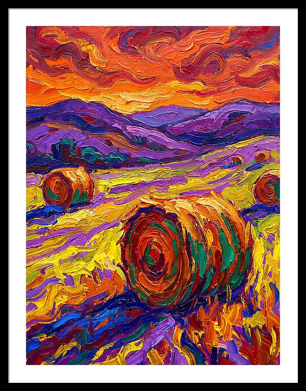 Vibrant Hay Field Landscape