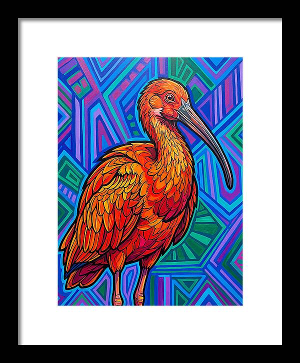 Vibrant Ibis Portrait