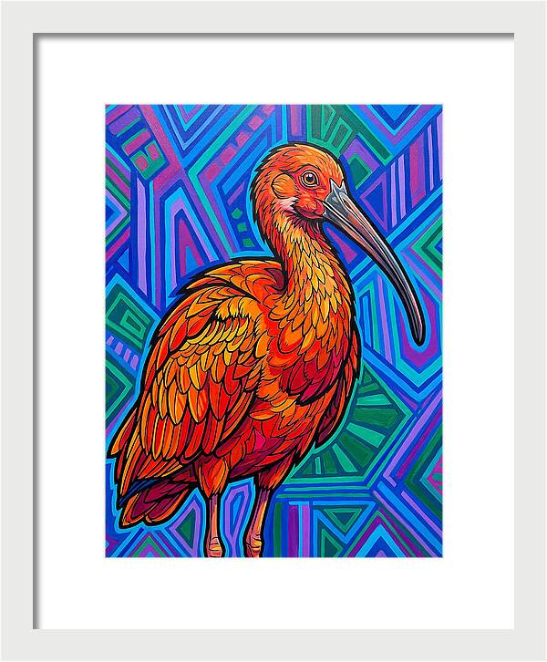 Vibrant Ibis Portrait