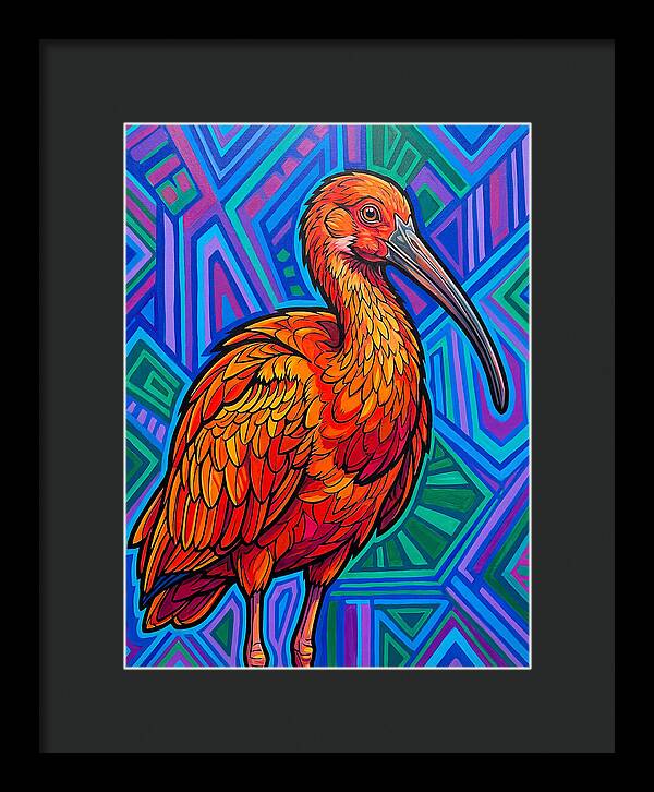 Vibrant Ibis Portrait