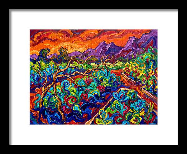 Vibrant Kitchen Garden Landscape