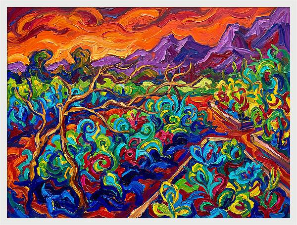 Vibrant Kitchen Garden Landscape