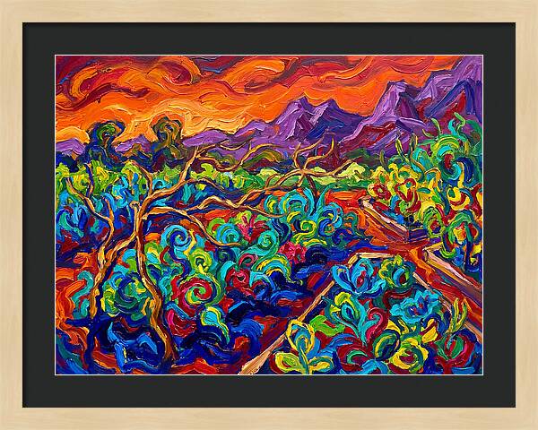 Vibrant Kitchen Garden Landscape