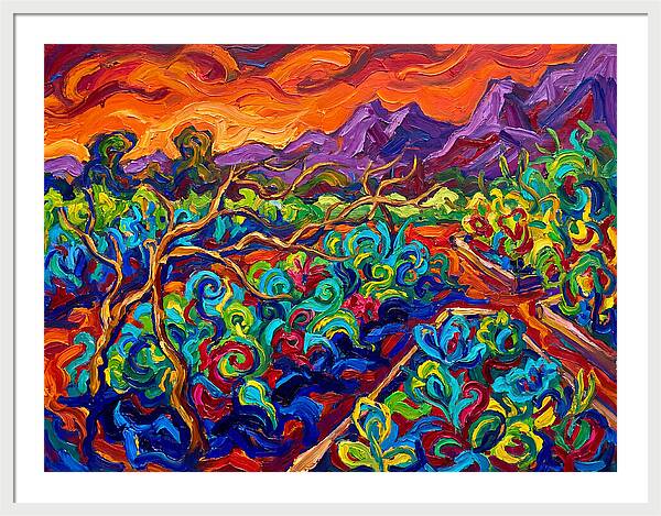 Vibrant Kitchen Garden Landscape