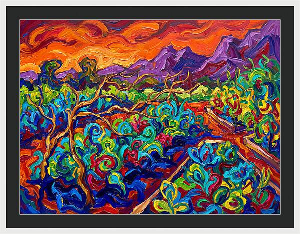 Vibrant Kitchen Garden Landscape