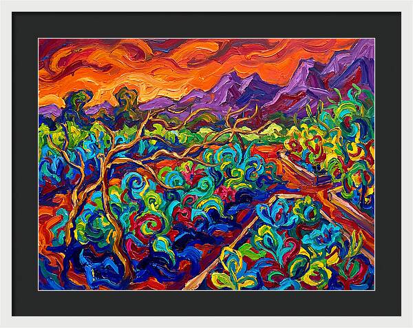 Vibrant Kitchen Garden Landscape