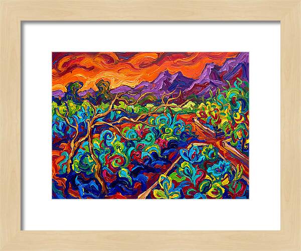 Vibrant Kitchen Garden Landscape