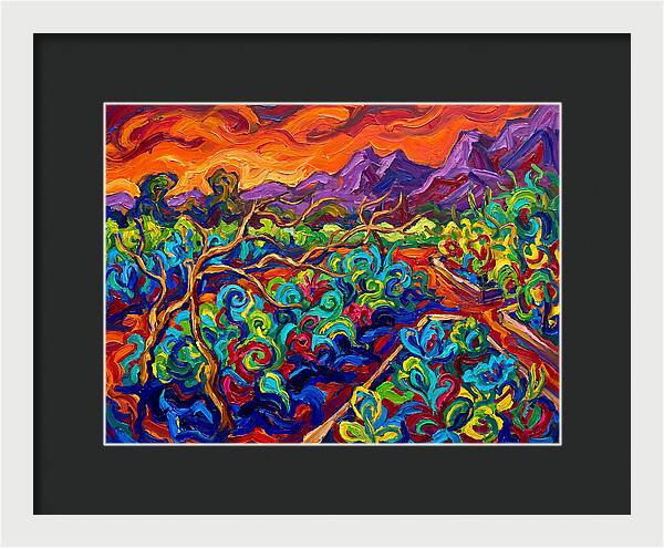 Vibrant Kitchen Garden Landscape