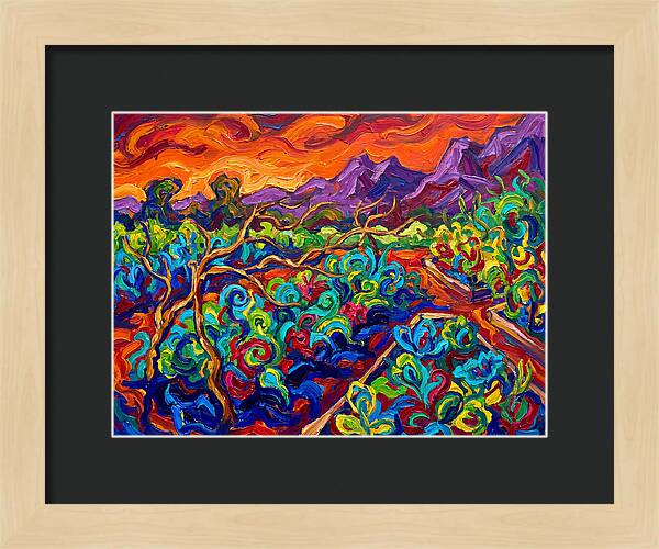 Vibrant Kitchen Garden Landscape