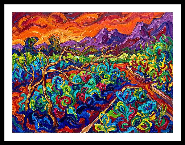 Vibrant Kitchen Garden Landscape