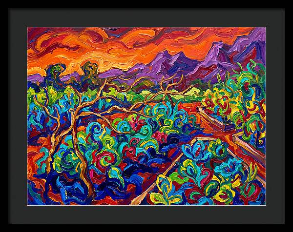 Vibrant Kitchen Garden Landscape