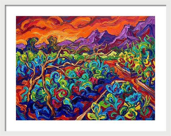 Vibrant Kitchen Garden Landscape
