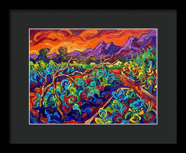 Vibrant Kitchen Garden Landscape