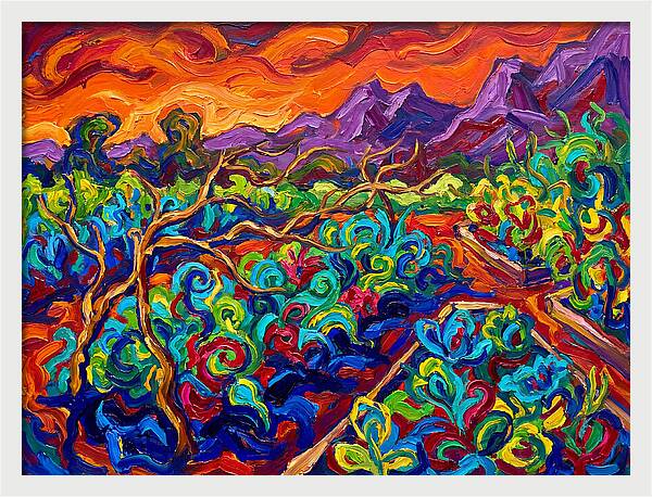 Vibrant Kitchen Garden Landscape