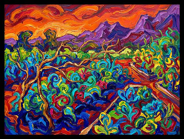 Vibrant Kitchen Garden Landscape