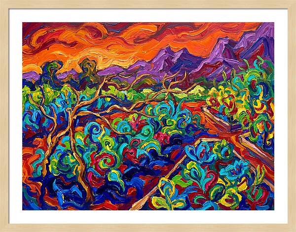 Vibrant Kitchen Garden Landscape
