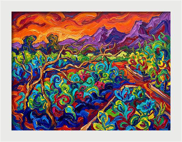 Vibrant Kitchen Garden Landscape