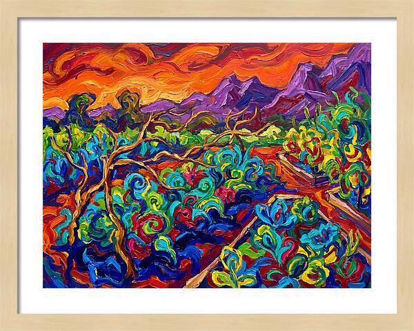 Vibrant Kitchen Garden Landscape