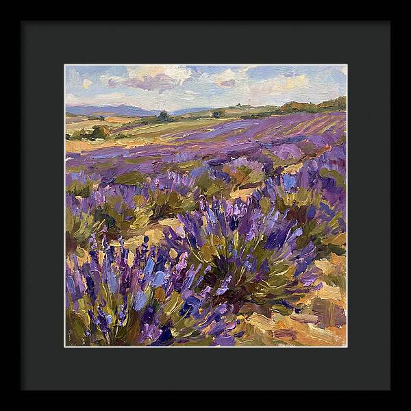 Vibrant Lavender Landscape 4936