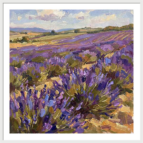 Vibrant Lavender Landscape 4936