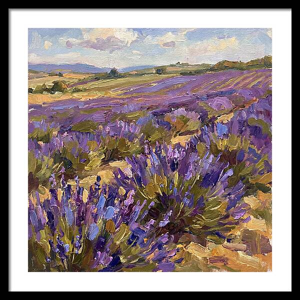 Vibrant Lavender Landscape 4936