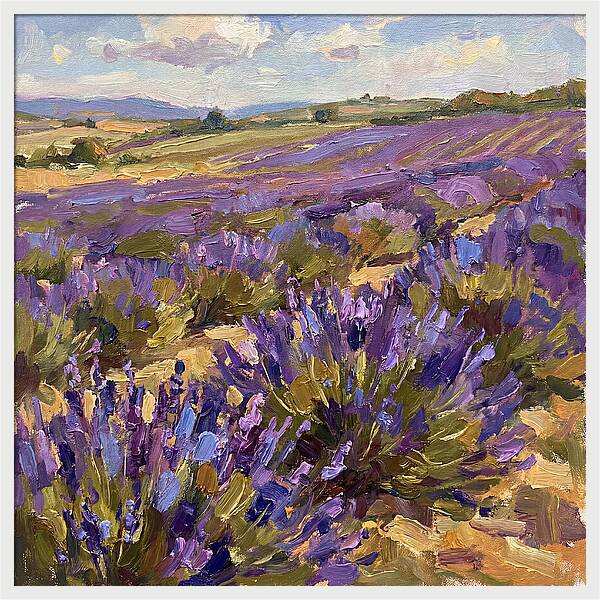 Vibrant Lavender Landscape 4936