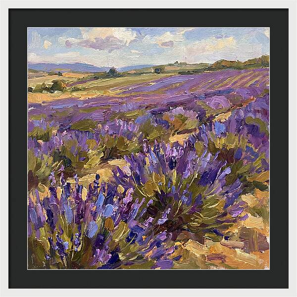 Vibrant Lavender Landscape 4936