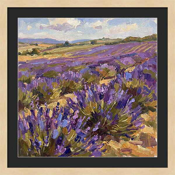 Vibrant Lavender Landscape 4936