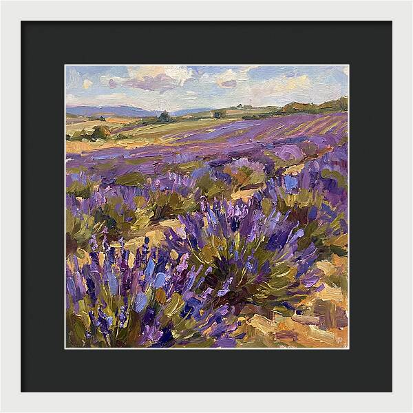 Vibrant Lavender Landscape 4936