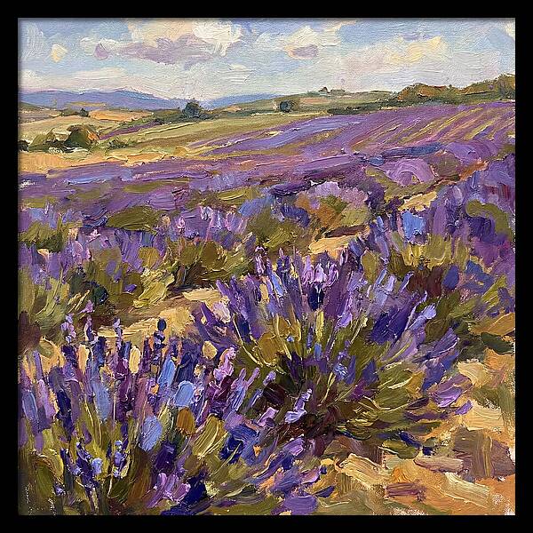Vibrant Lavender Landscape 4936