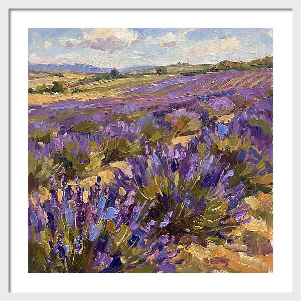 Vibrant Lavender Landscape 4936