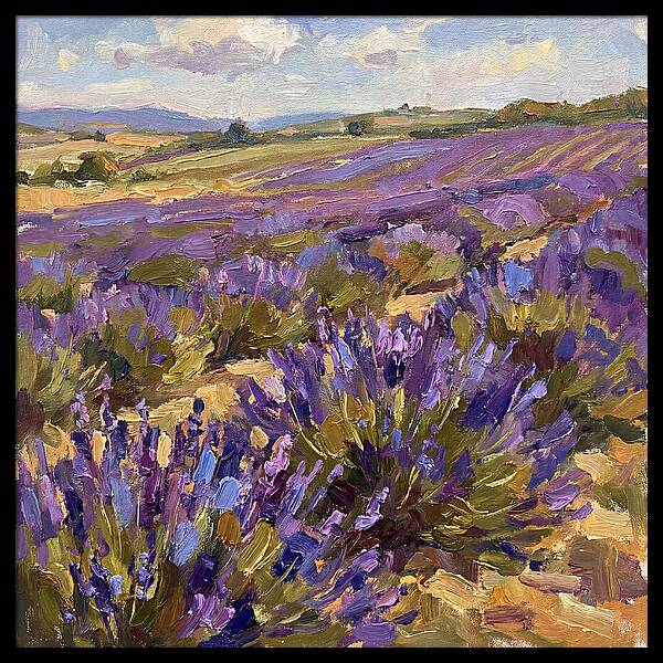 Vibrant Lavender Landscape 4936
