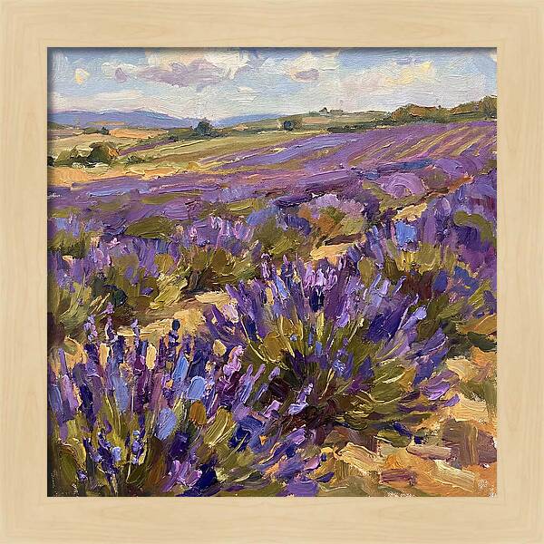 Vibrant Lavender Landscape 4936