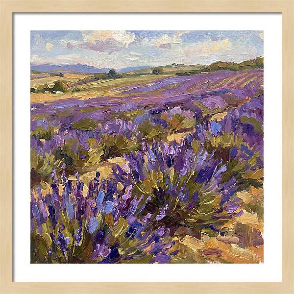 Vibrant Lavender Landscape 4936
