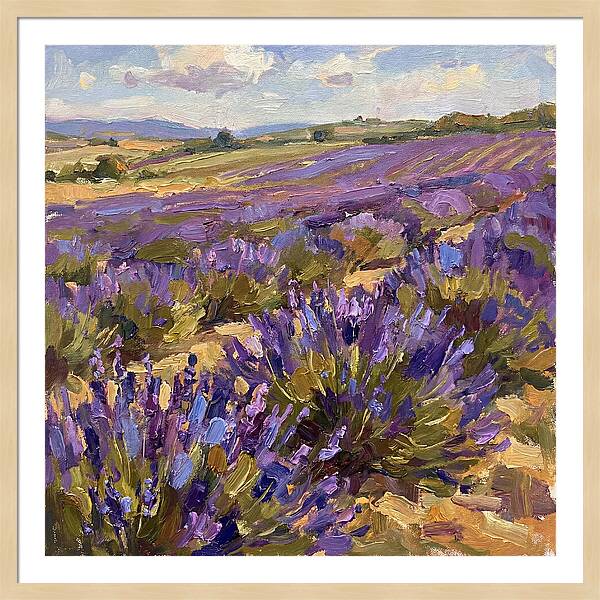 Vibrant Lavender Landscape 4936