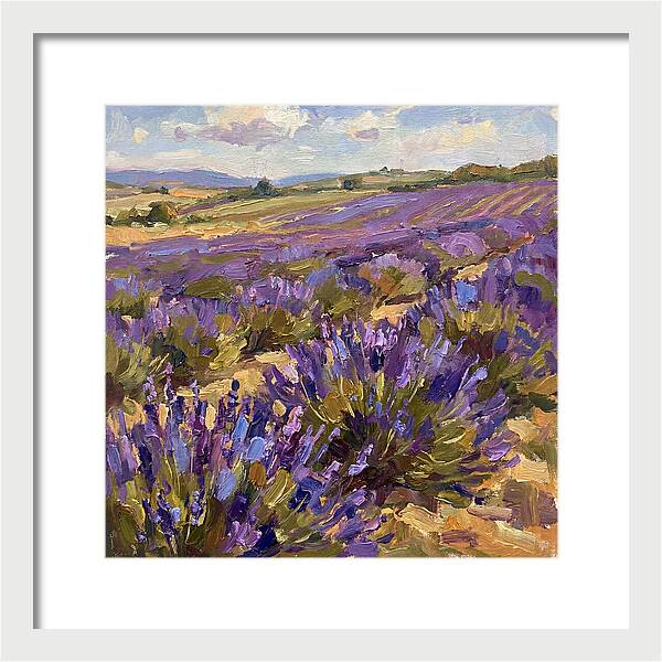 Vibrant Lavender Landscape 4936