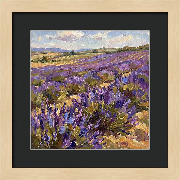 Vibrant Lavender Landscape 4936