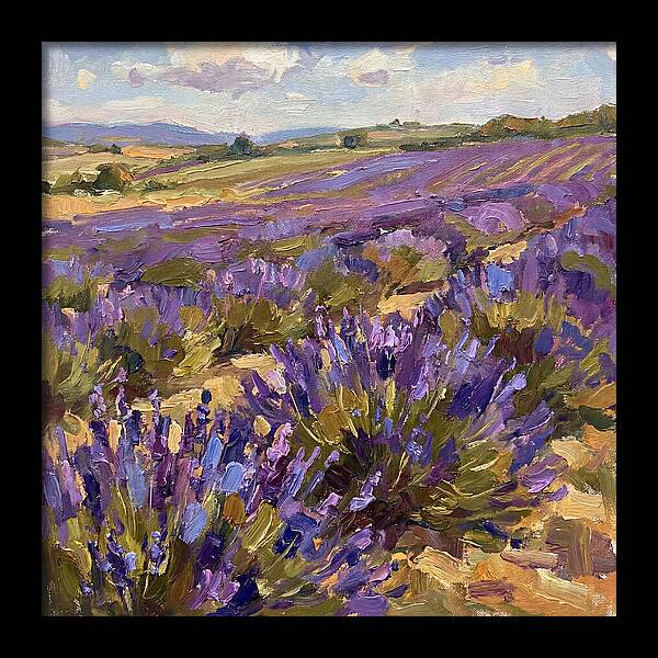 Vibrant Lavender Landscape 4936