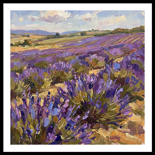 Vibrant Lavender Landscape 4936