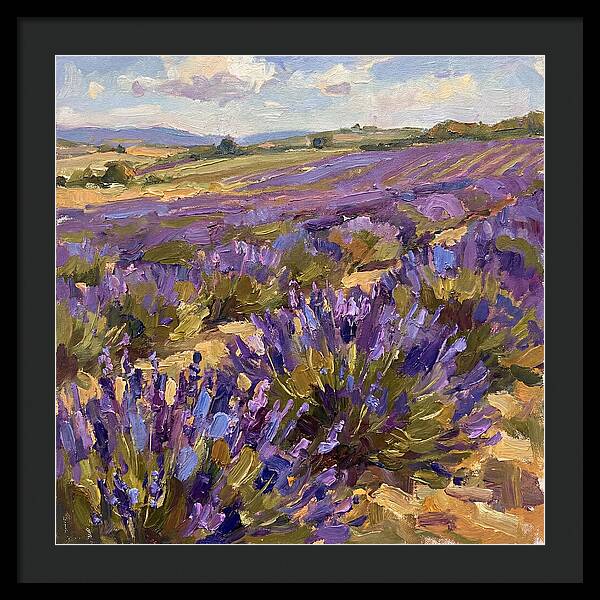 Vibrant Lavender Landscape 4936