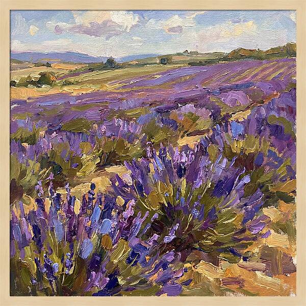 Vibrant Lavender Landscape 4936