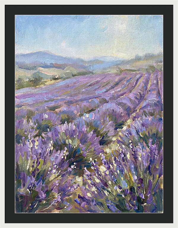 Vibrant Lavender Landscape