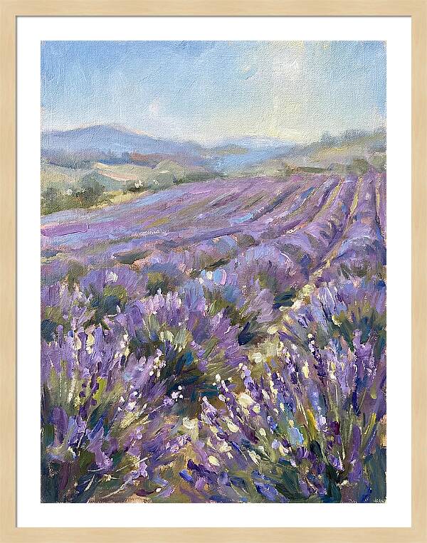 Vibrant Lavender Landscape