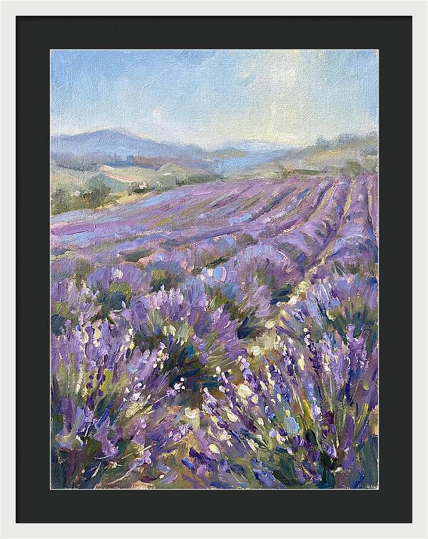 Vibrant Lavender Landscape