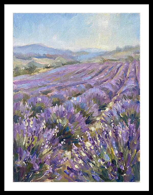 Vibrant Lavender Landscape