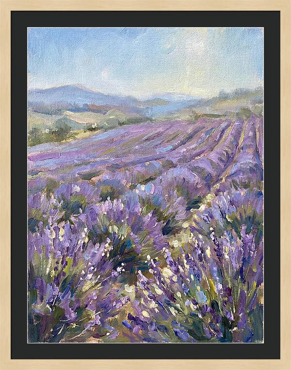 Vibrant Lavender Landscape