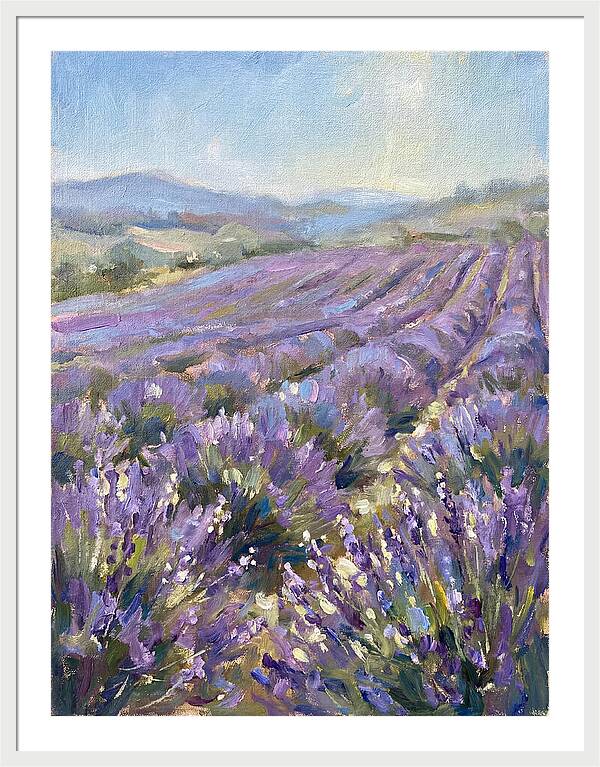 Vibrant Lavender Landscape